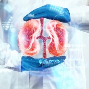 Kidney