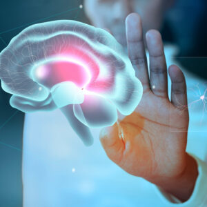 Neurology Clinicals